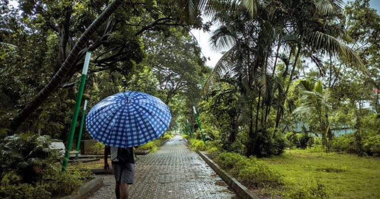 Connecting with Nature at Abuja Central Park